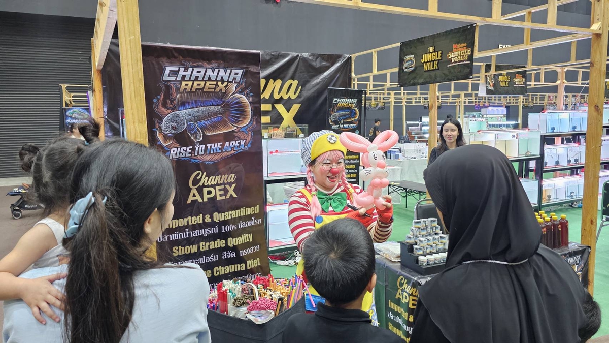 Channa APEX สร้างความประทับใจในงาน The Mall Jungle Walk บางกะปิ ชู “Channa Auranti” จุดเด่นของแบรนด์ พร้อมยกระดับวงการปลาช่อนสวยงามไทย